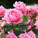 ���� ����, ������ - ��������� 15 ������� 2023 � ������ �������