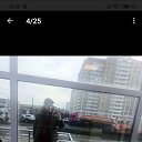 ���� ������ �� ���� ����, ������-��-����, 58 ��� - ��������� 15 ������ 2026