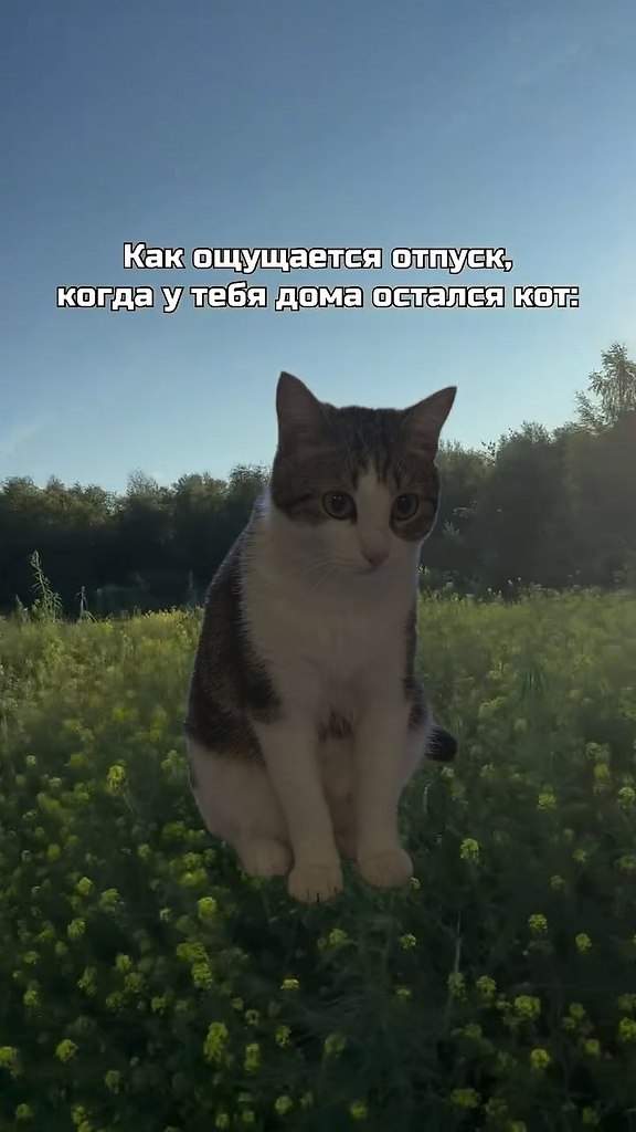 ����� ��� ������ �������� ������������ ���������, ����� ����� ��� ��������?)