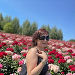 �������, ���, 59 ���