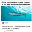 ���� ����, ������ - ��������� 13 ������ 2026 � ������ ������ ��������