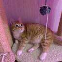 ���� �����, �����-��������� - ��������� 6 ������ 2025 � ������ ������ ��������