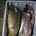 ���� ����������, ���������, 34 ���� - ��������� 20 ������� 2023 � ������ ���� ����������