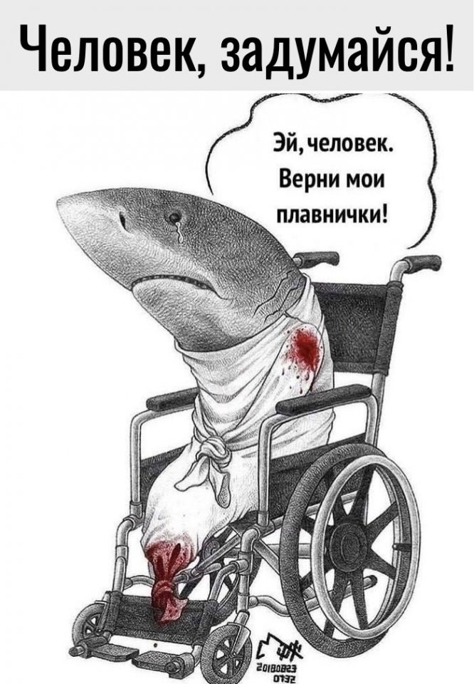 �����������!