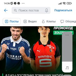 ���������, 33 ����, �����������