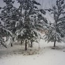 ���� Gljk, ������, 51 ��� - ��������� 12 ������ 2024 � ������ ���� ����������