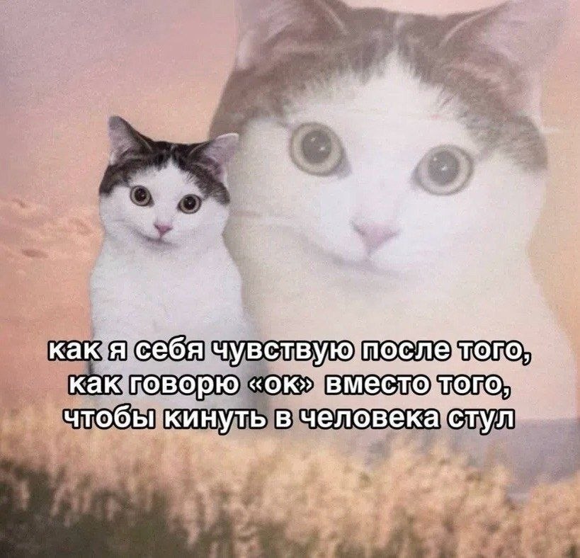 ���� ������ ���� ��� �� ������ ��� ����� �� ��������� ������, ��������, ���� �������� �� �� ...