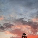 ���� ���������, ������ - ��������� 17 ������ 2026 � ������ �������� � ������