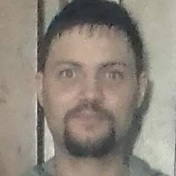 �������, �������, 37 ���