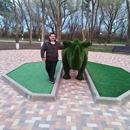 ���� ���������, ����������, 38 ���