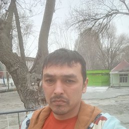 , 30, 