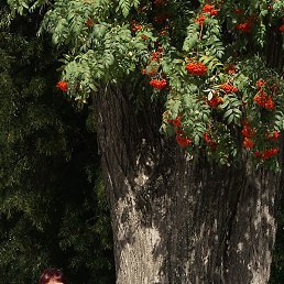 ����, ���������, 62 ����