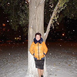 �����, ��������, 67 ���