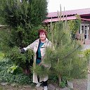 ���� ��������, ������� ����� - ��������� 31 ���� 2025 � ������ ���� ����������