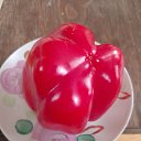 ���� ��������, ������, 59 ��� - ��������� 10 ������� 2024 � ������ ���� ����������