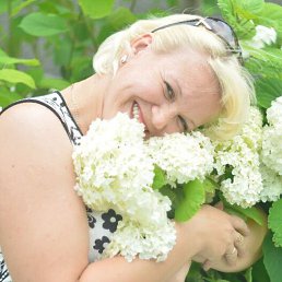 ���� Nata, �����, 49 ��� - ��������� 4 ���� 2026