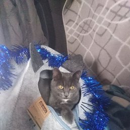 ����, �����������, 47 ���