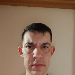 ���� ���������, �����, 39 ��� - ��������� 14 ����� 2024