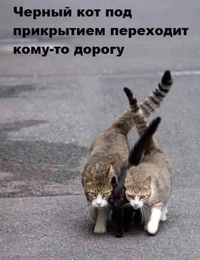 ������ - 16 ������� 2025 � 18:46