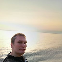 ������, 41 ���, �����������