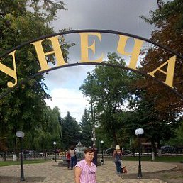 , 62, 