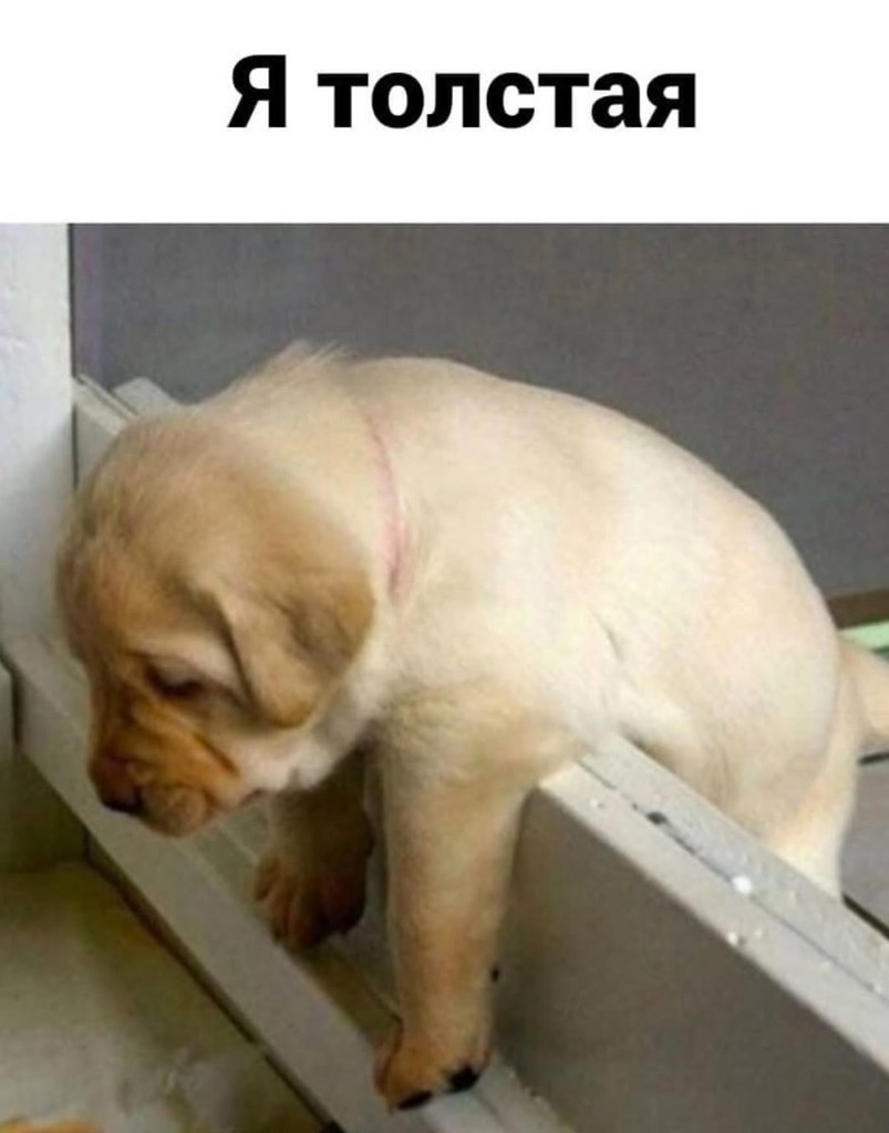 ������, ������ �����)