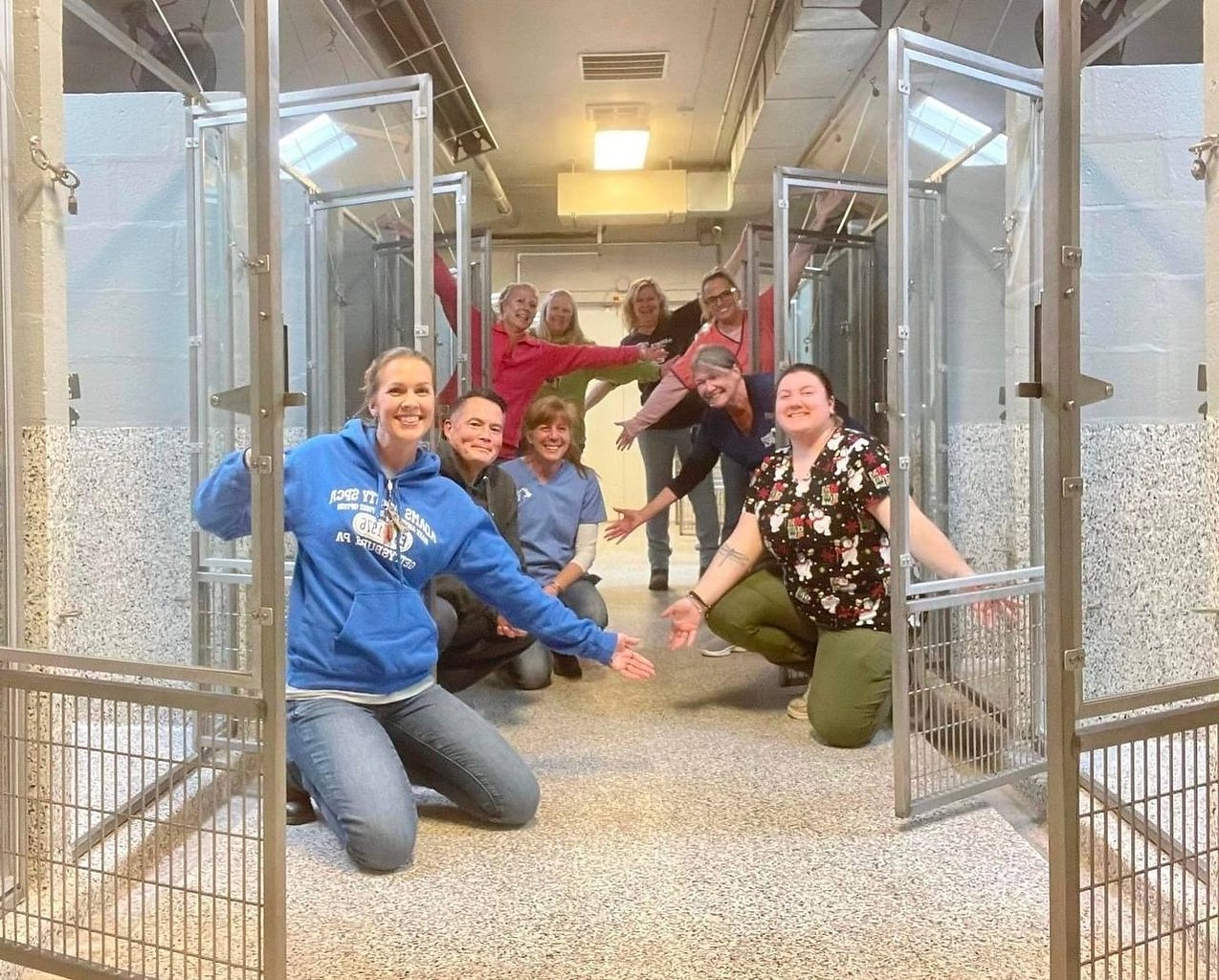 Год в приюте. Dogs Shelter in Pennsylvania.