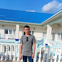 ����, 38 ���, ���������