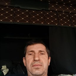 , 43 , 