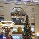 ���� �������, ������ - ��������� 25 ������ 2025