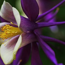 ����, ������, 18 ���