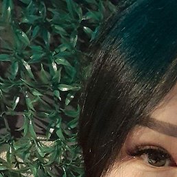 �����, ������, 33 ����