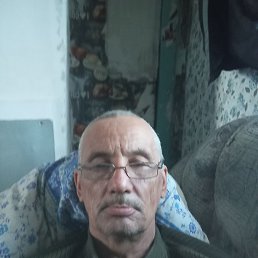 , 53 , 
