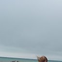   , , 60  -  7  2025    