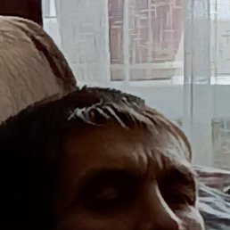 �����, ������, 40 ���