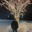 ���� ���, ������, 55 ��� - ��������� 30 ������ 2026 � ������ ���� ����������