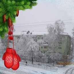 �, �������, 67 ���