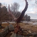 ���� Vladimir, ���������, 71 ��� - ��������� 4 ������ 2026 � ������ ���� ����������