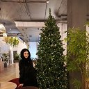 ���� �����, ���������, 47 ��� - ��������� 29 ������� 2025 � ������ ���� ����������