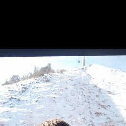 �����, �������, 38 ���