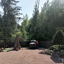 ���� ������, �����-���������, 46 ��� - ��������� 20 ���� 2025 � ������ ���� ����������