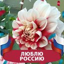 ���� �������, ��������, 66 ��� - ��������� 10 ��� 2026 � ������ ���� ����������