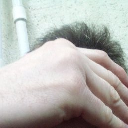 ����, 41 ���, ��������