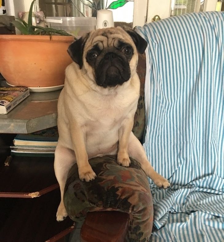 �� ���� ���������