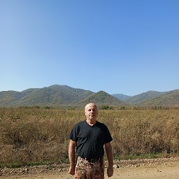 , 65 , 
