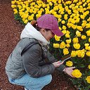 ���� �����, ����������� - ��������� 6 ������ 2026