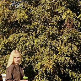 ���� �����, ����� - ��������� 15 ������� 2025