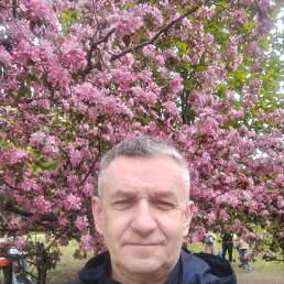 ������, 58 ���, ���