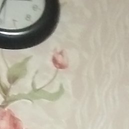 �������, �������, 59 ���