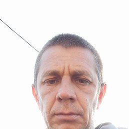 , 41, 